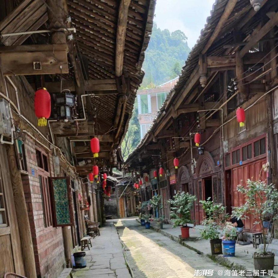 逃离未知丛林2
